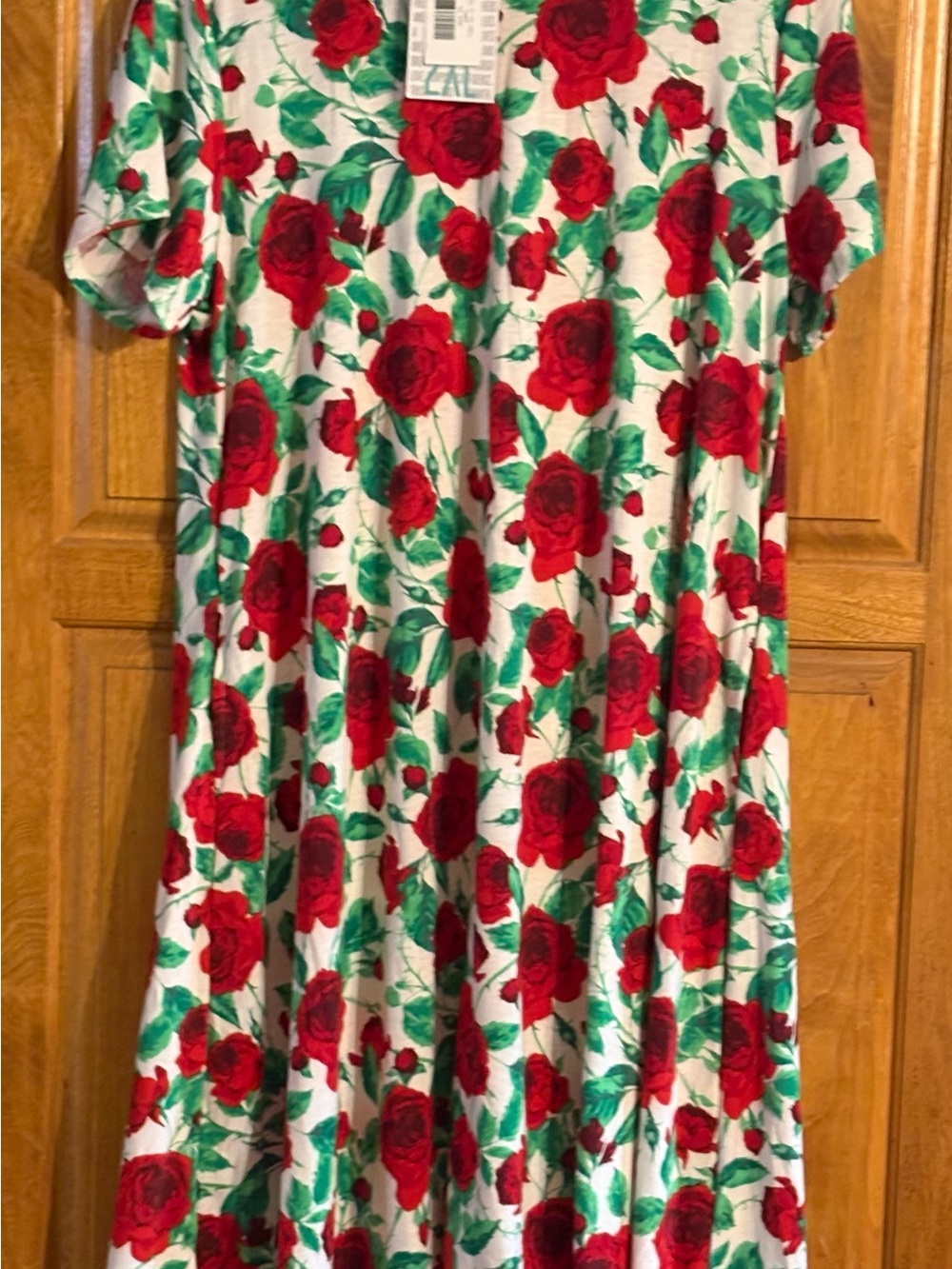 NWT LULAROE Jessie Dress Roses are Red....2X
